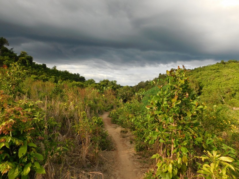 Virachey National Park Community-Based Ecotourism Initiative