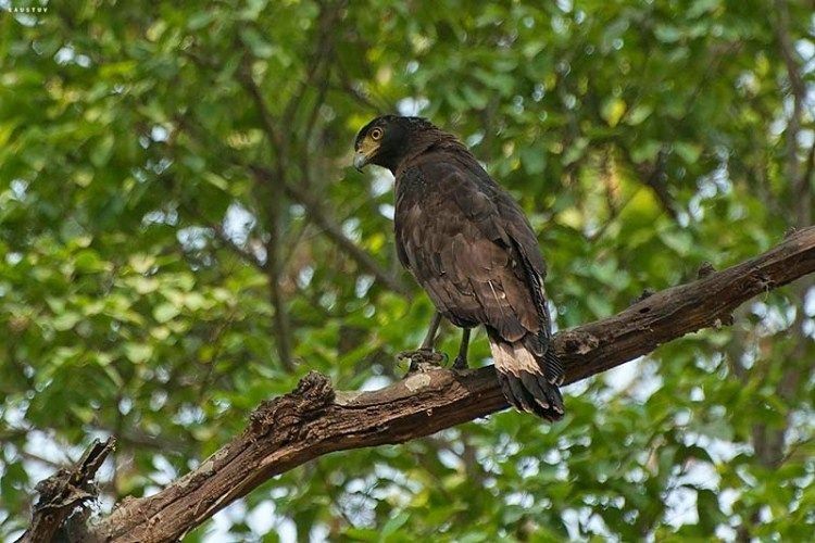 Thmatboey Community-Based Ecotourism Site