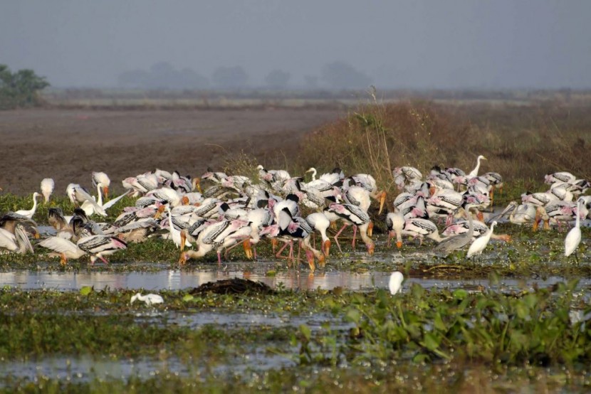 Ang Trapeang Thmor Community-Based Ecotourism Site