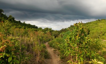 Virachey National Park Community-Based Ecotourism Initiative