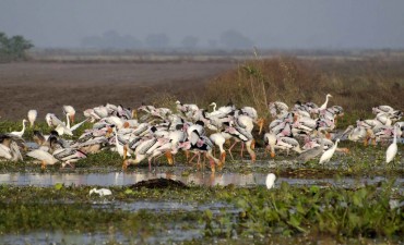 Ang Trapeang Thmor Community-Based Ecotourism Site