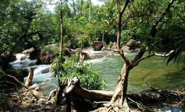 Prek Thnout Community-Based Ecotourism Site